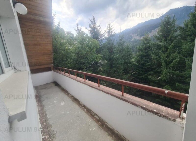 Complex turistic  - Zona Poiana Tapului