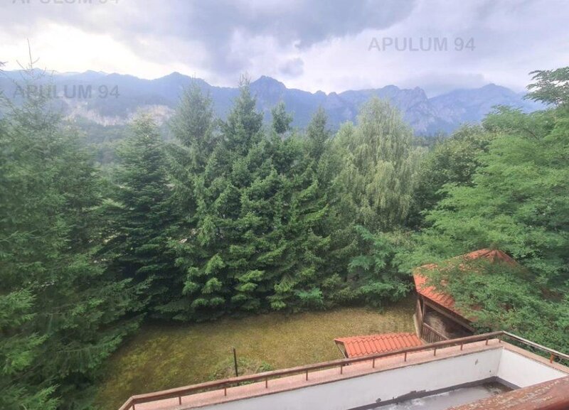 Complex turistic  - Zona Poiana Tapului